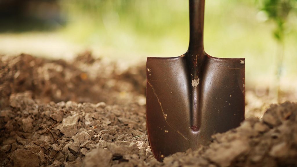 Digging out: Finding Eternity in Your Heart
